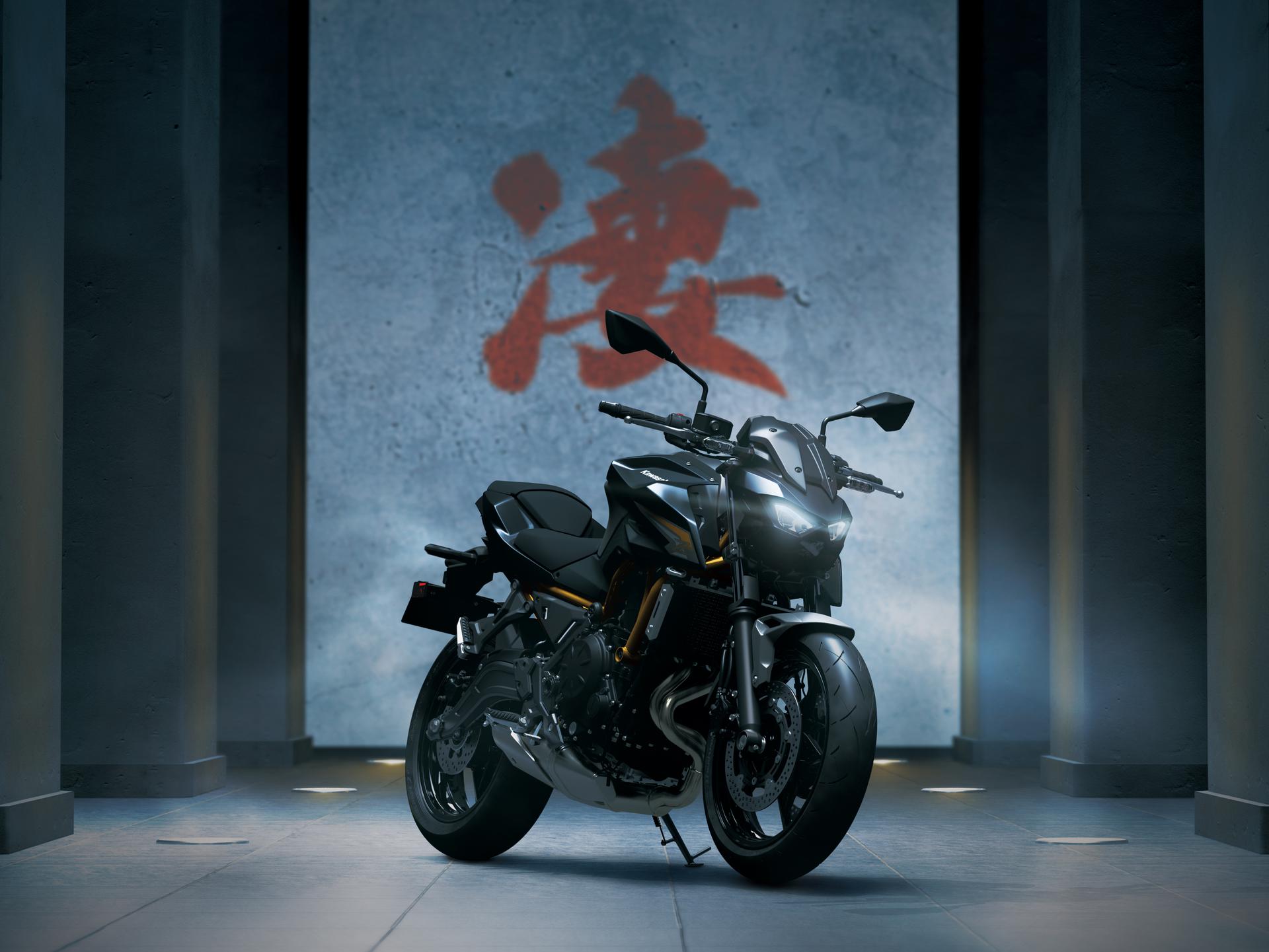 Kawasaki Z, design e carattere della gamma Supernaked
