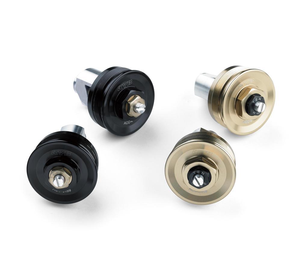 Set tappi forcella (Z900RS/SE)