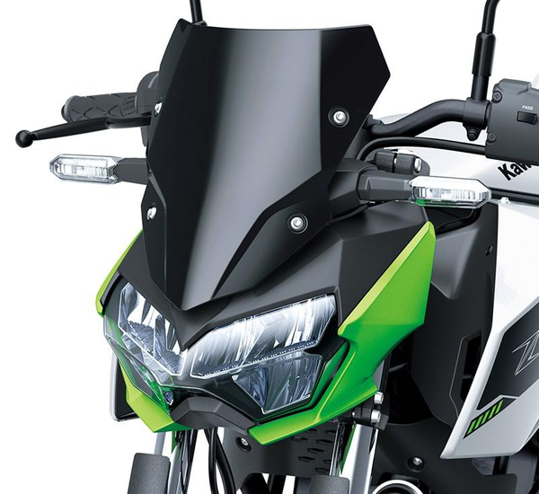 Parabrezza Large Fumè (Z e-1)