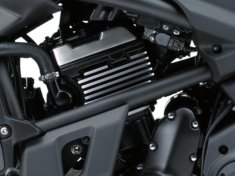 Bicilindrico, 4 tempi, parallello da 649cm3, 8 valvole