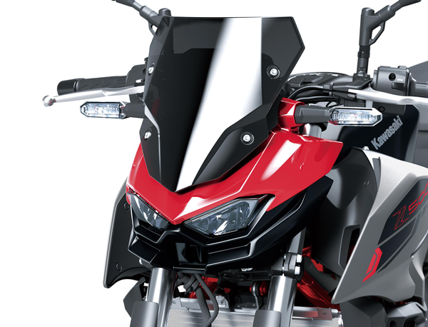 Parabrezza Large, Fumè  (Z500)