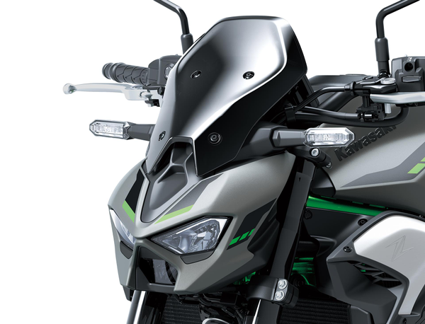 Parabrezza Large, Fumè  (Z900/70kW/SE)