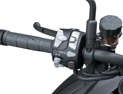 Cruise Control Elettronico