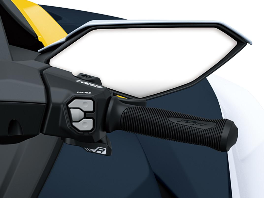 Cruise Control Elettronico