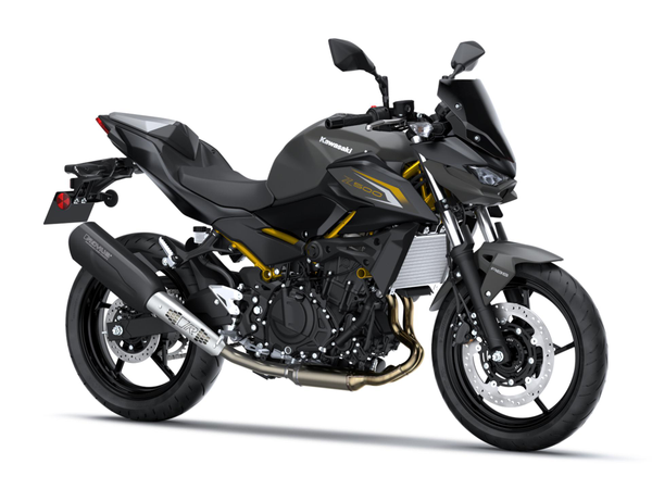 Z500 Performance Remus